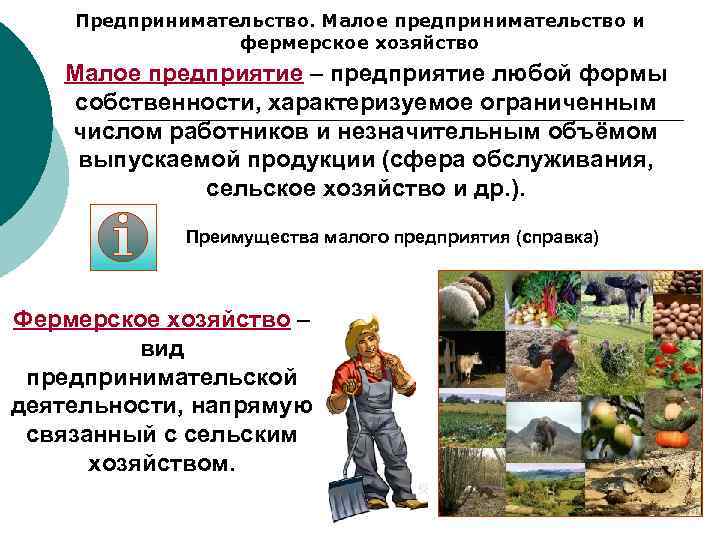 Предпринимательство. Малое предпринимательство и фермерское хозяйство Малое предприятие – предприятие любой формы собственности, характеризуемое