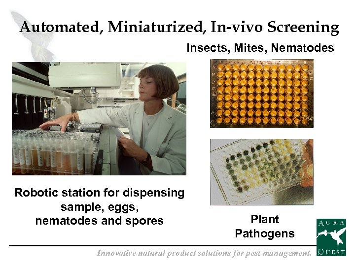Automated, Miniaturized, In-vivo Screening Insects, Mites, Nematodes Robotic station for dispensing sample, eggs, nematodes