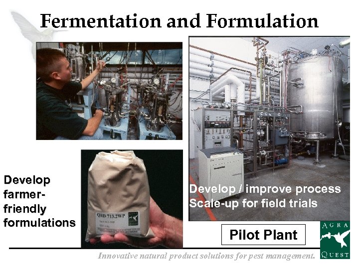 Fermentation and Formulation Develop farmerfriendly formulations Develop / improve process Scale-up for field trials