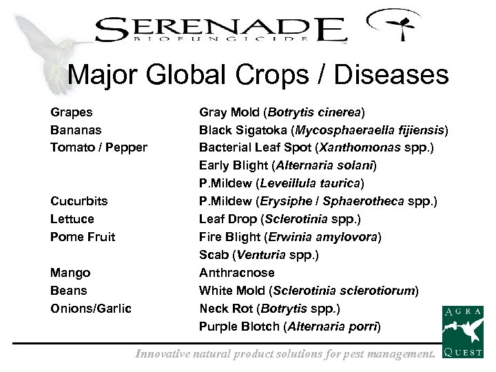 Major Global Crops / Diseases Grapes Bananas Tomato / Pepper Cucurbits Lettuce Pome Fruit
