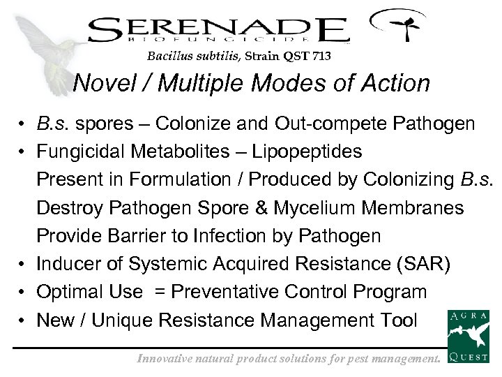 Bacillus subtilis, Strain QST 713 Novel / Multiple Modes of Action • B. s.