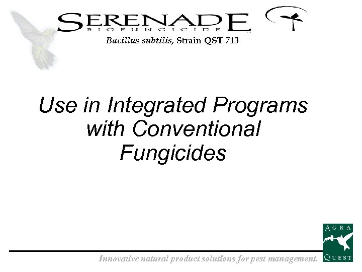 Bacillus subtilis, Strain QST 713 Use in Integrated Programs with Conventional Fungicides Innovative natural