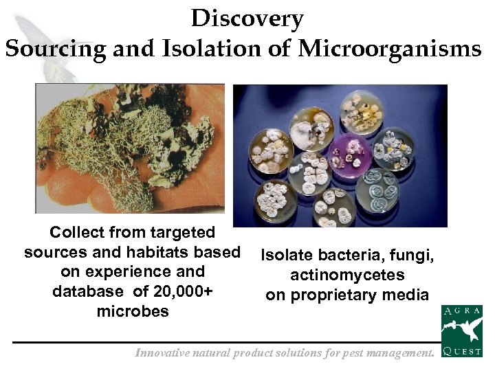 Discovery Sourcing and Isolation of Microorganisms Collect from targeted sources and habitats based on