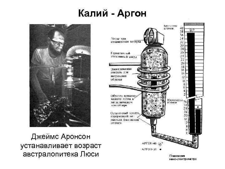 Калий - Аргон Джеймс Аронсон устанавливает возраст австралопитека Люси 