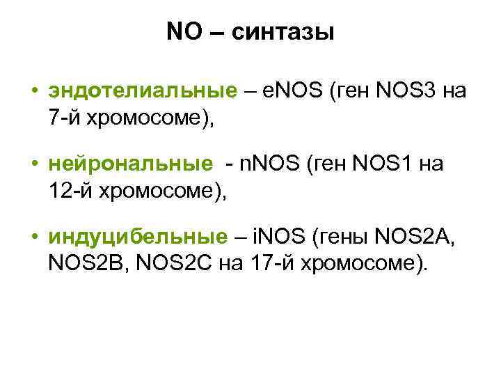 NO – синтазы • эндотелиальные – e. NOS (ген NOS 3 на 7 -й