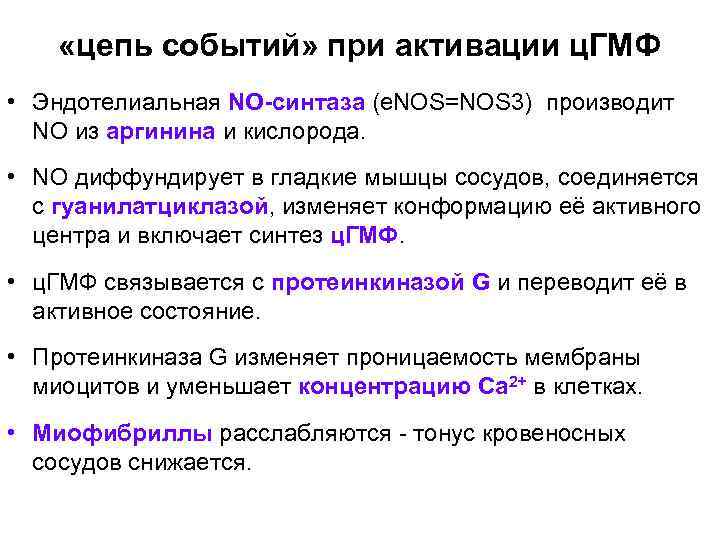  «цепь событий» при активации ц. ГМФ • Эндотелиальная NO-синтаза (e. NOS=NOS 3) производит