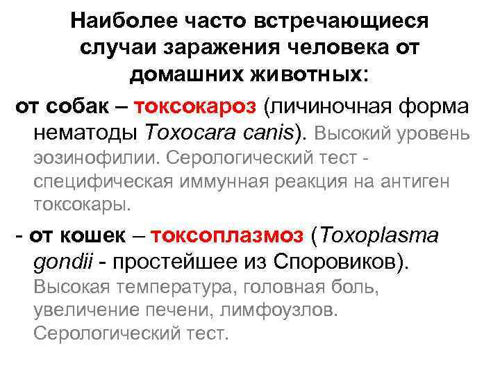 Наиболее часто встречающиеся случаи заражения человека от домашних животных: от собак – токсокароз (личиночная