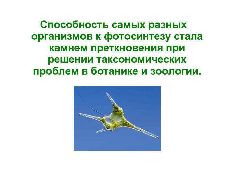 Способность самых разных организмов к фотосинтезу стала камнем преткновения при решении таксономических проблем в