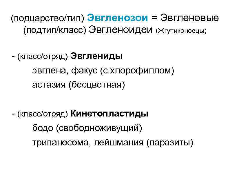 (подцарство/тип) Эвгленозои = Эвгленовые (подтип/класс) Эвгленоидеи (Жгутиконосцы) - (класс/отряд) Эвглениды эвглена, факус (с хлорофиллом)