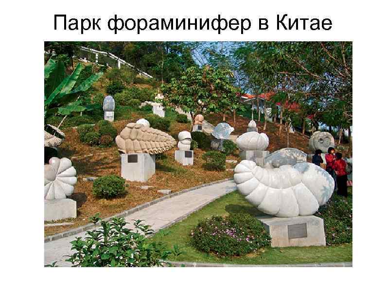 Парк фораминифер в Китае 