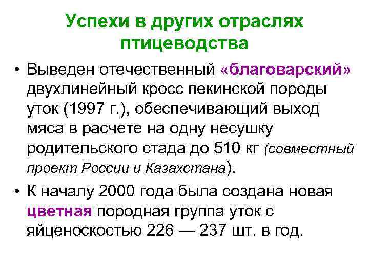Успехи в других отраслях птицеводства • Выведен отечественный «благоварский» двухлинейный кросс пекинской породы уток