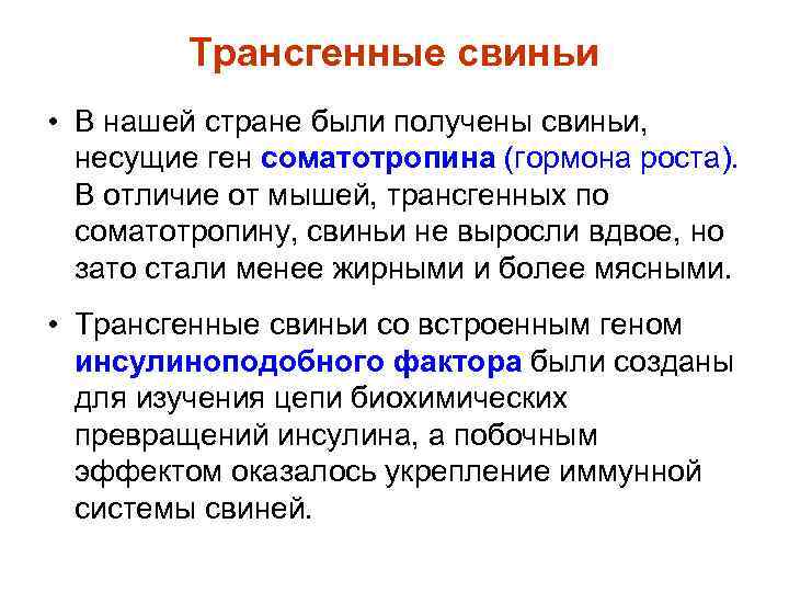Трансгенные свиньи • В нашей стране были получены свиньи, несущие ген соматотропина (гормона роста).