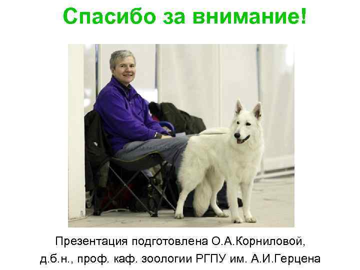 Спасибо за внимание! Презентация подготовлена О. А. Корниловой, д. б. н. , проф. каф.