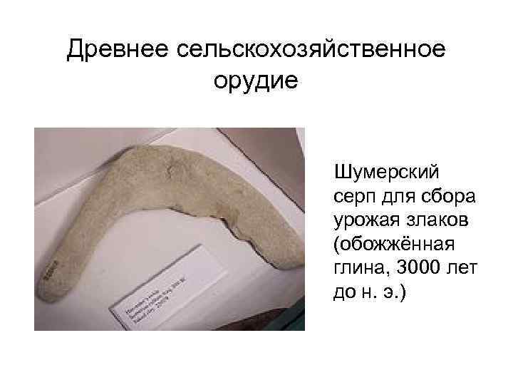 Древнее сельскохозяйственное орудие Шумерский серп для сбора урожая злаков (обожжённая глина, 3000 лет до