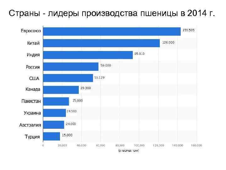 Страны - лидеры производства пшеницы в 2014 г. 