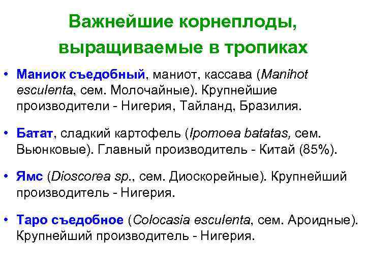 Важнейшие корнеплоды, выращиваемые в тропиках • Маниок съедобный, маниот, кассава (Manihot esculenta, сем. Молочайные).