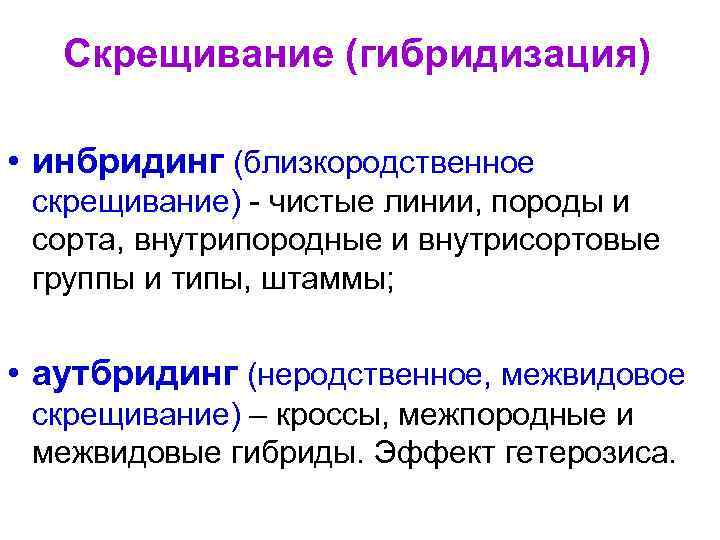 Скрещивание (гибридизация) • инбридинг (близкородственное скрещивание) - чистые линии, породы и сорта, внутрипородные и