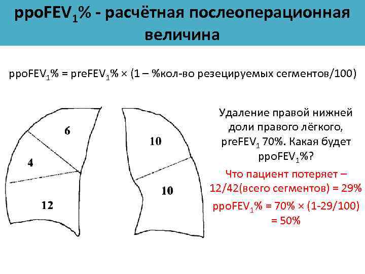 Правое легкое по лондонской схеме состоит из сегментов