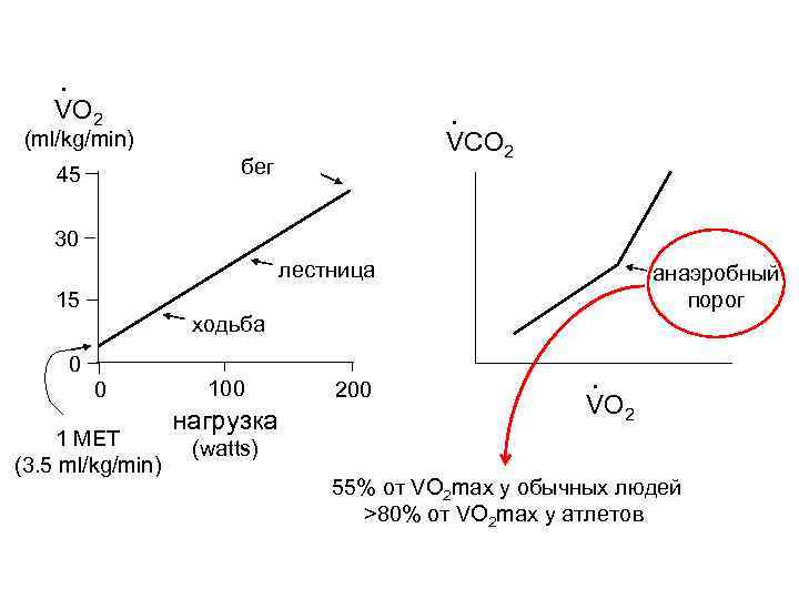 · VO 2 · (ml/kg/min) VCO 2 бег 45 30 лестница 15 анаэробный порог