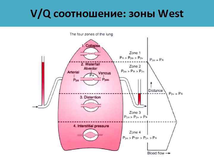 West zone