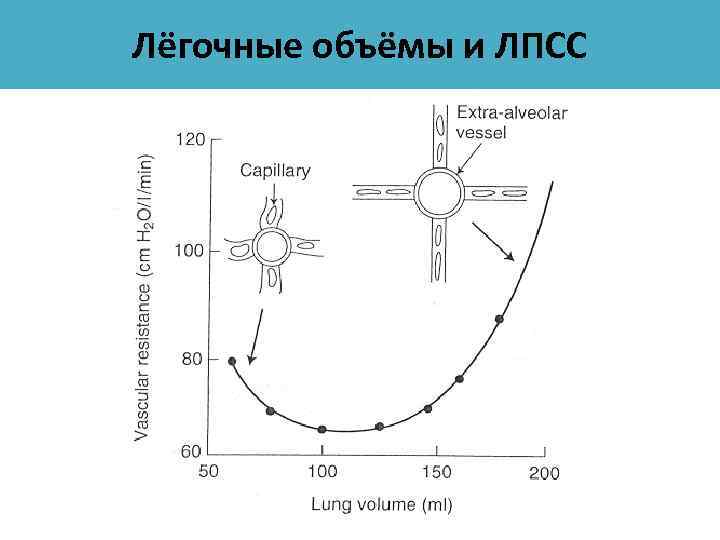 Лёгочные объёмы и ЛПСС 