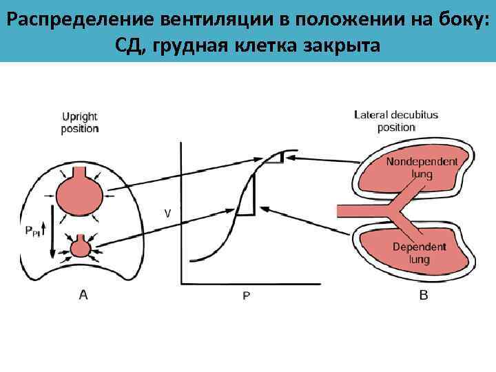 Полиелейная вечерня схема