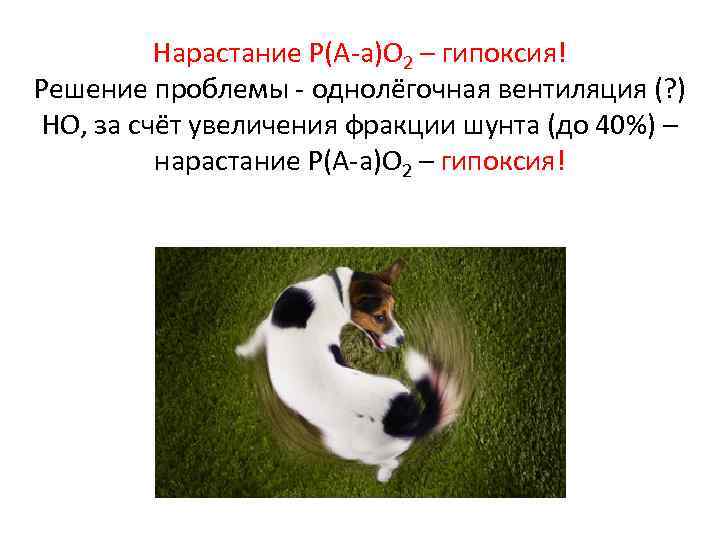 Нарастание Р(А-а)О 2 – гипоксия! Решение проблемы - однолёгочная вентиляция (? ) НО, за