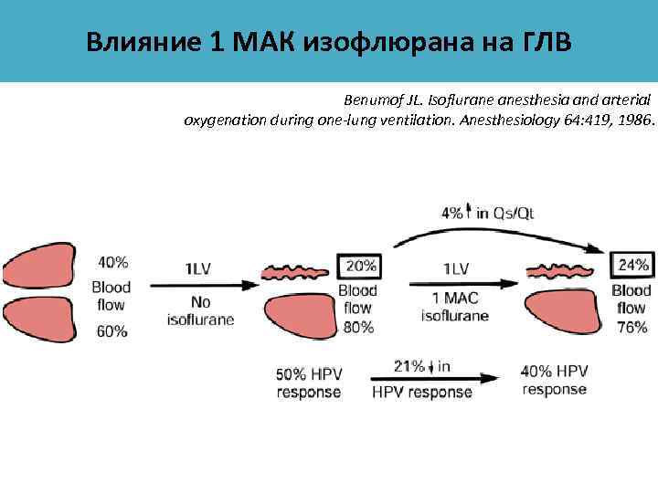 Влияние 1 МАК изофлюрана на ГЛВ Benumof JL. Isoflurane anesthesia and arterial oxygenation during