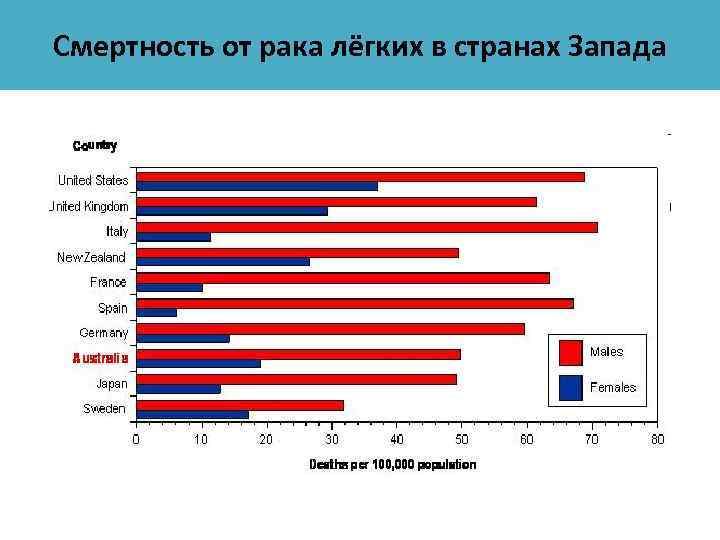 Процент рака. Суточная смертность от онкологии. Статистика смертей от онкологии по странам. Статистика по онкологии легких. Летальность от онкологии в процентах.