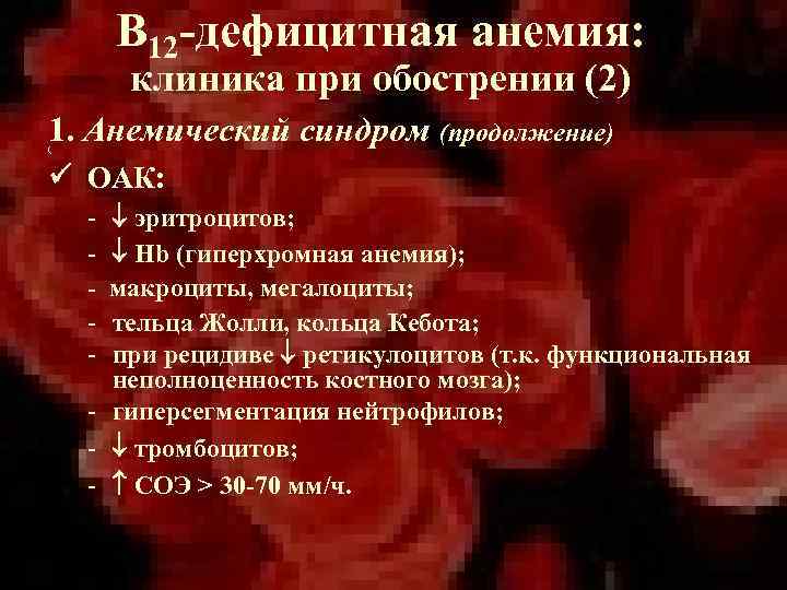 В 12 -дефицитная анемия: клиника при обострении (2) 1. Анемический синдром (продолжение) ( ОАК: