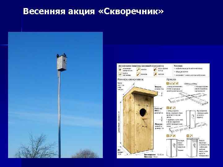Весенняя акция «Скворечник» 