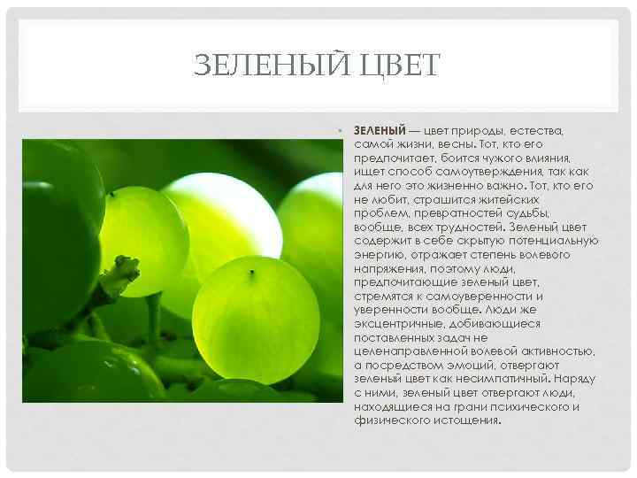 ЗЕЛЕНЫЙ ЦВЕТ • ЗЕЛЕНЫЙ — цвет природы, естества, самой жизни, весны. Тот, кто его