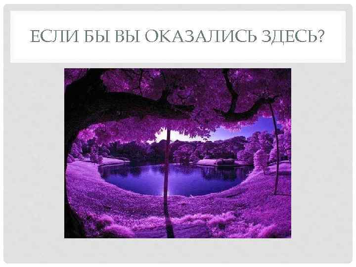 ЕСЛИ БЫ ВЫ ОКАЗАЛИСЬ ЗДЕСЬ? 
