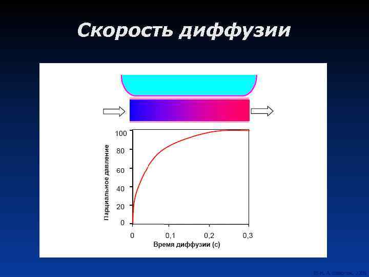 Скорость диффузии 