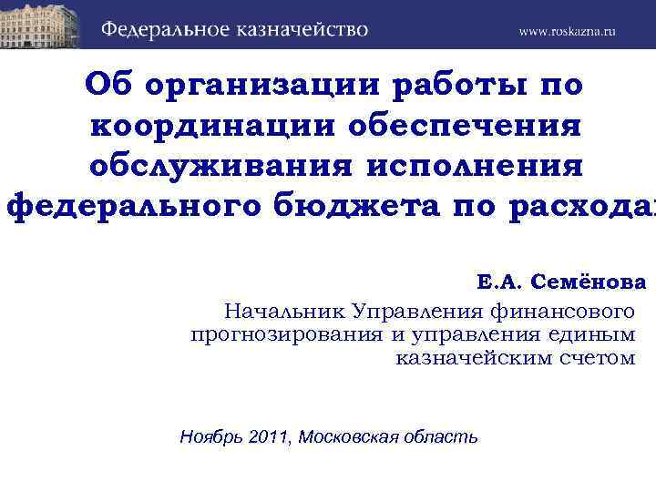 Об организации работы по координации обеспечения обслуживания исполнения федерального бюджета по расходам Е. А.
