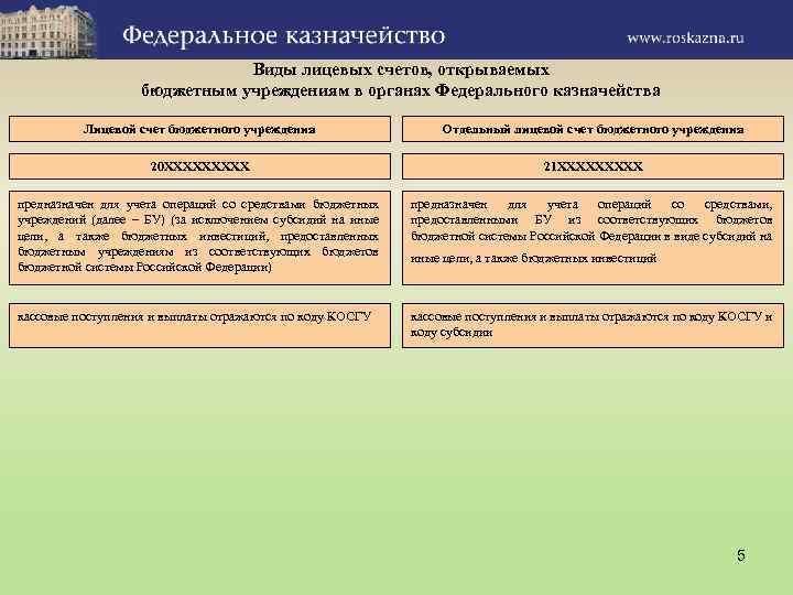 Виды лицевых счетов, открываемых бюджетным учреждениям в органах Федерального казначейства Лицевой счет бюджетного учреждения