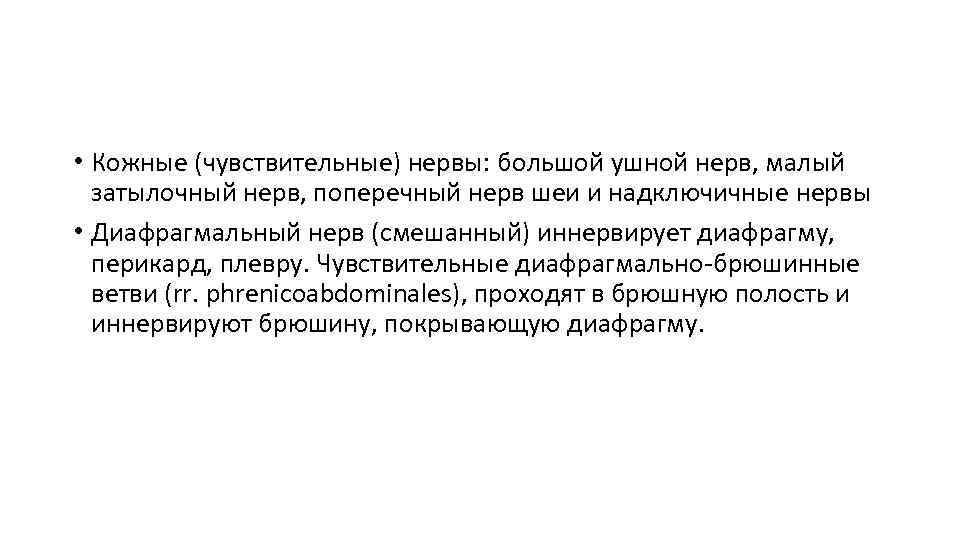  • Кожные (чувствительные) нервы: большой ушной нерв, малый затылочный нерв, поперечный нерв шеи