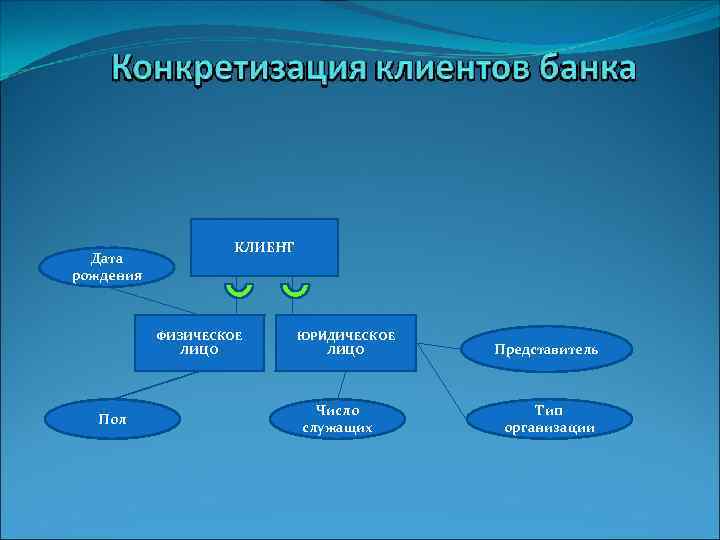 Дата рождения КЛИЕНТ ФИЗИЧЕСКОЕ ЛИЦО Пол ЮРИДИЧЕСКОЕ ЛИЦО Число служащих Представитель Тип организации 