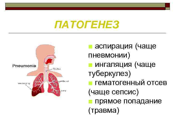 Патогенез пневмонии схема