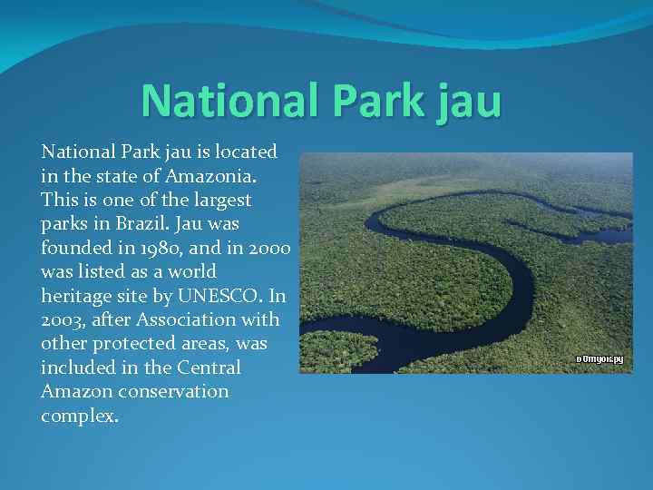 National Park jau is located in the state of Amazonia. This is one of