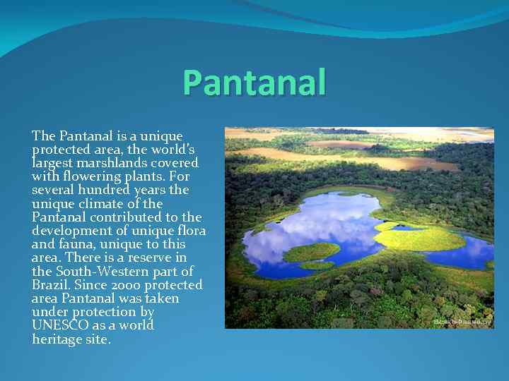 Pantanal The Pantanal is a unique protected area, the world's largest marshlands covered with