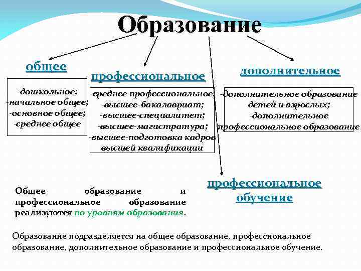 Образование общее профессиональное дополнительное -дошкольное; -среднее профессиональное; -дополнительное образование -начальное общее; -высшее-бакалавриат; детей и