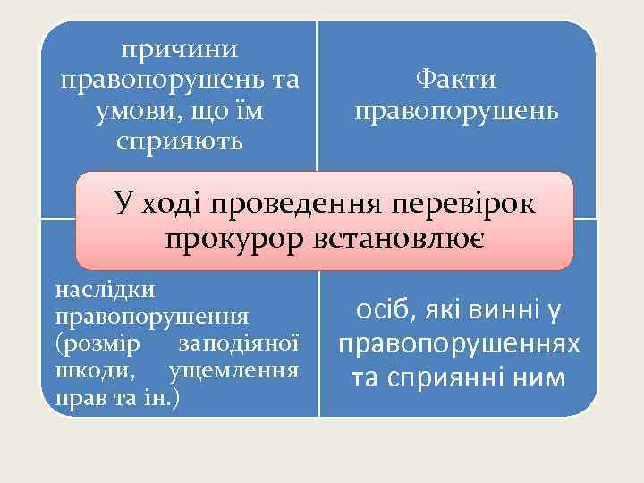 причини правопорушень та умови, що їм сприяють Факти правопорушень У ході проведення перевірок прокурор