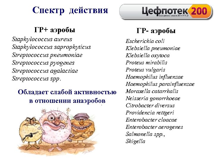 Спектр действия ГР+ аэробы Staphylococcus aureus Staphylococcus saprophyticus Streptococcus pneumoniae Streptococcus pyogenes Streptococcus agalactiae