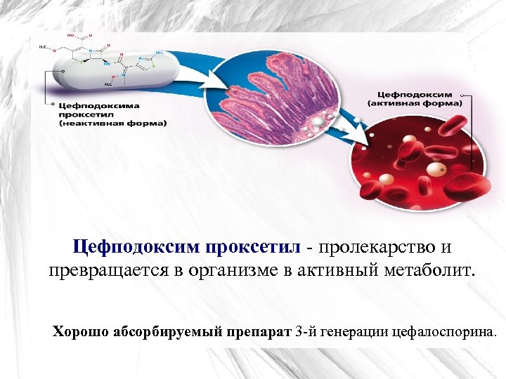 Цефподоксим проксетил - пролекарство и превращается в организме в активный метаболит. Хорошо абсорбируемый препарат