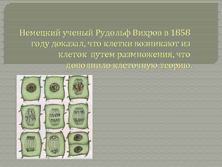 Немецкий ученый Рудольф Вихров в 1858 году доказал, что клетки возникают из клеток путем