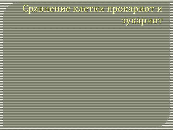 Сравнение клетки прокариот и эукариот 