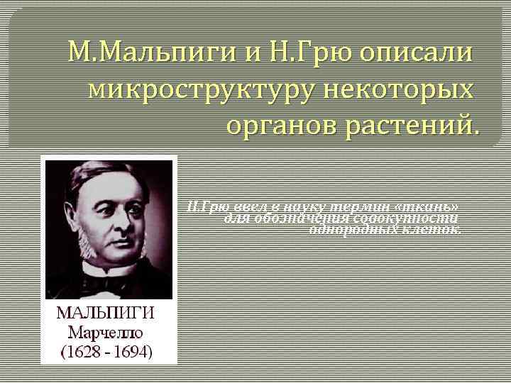 М. Мальпиги и Н. Грю описали микроструктуру некоторых органов растений. Н. Грю ввел в