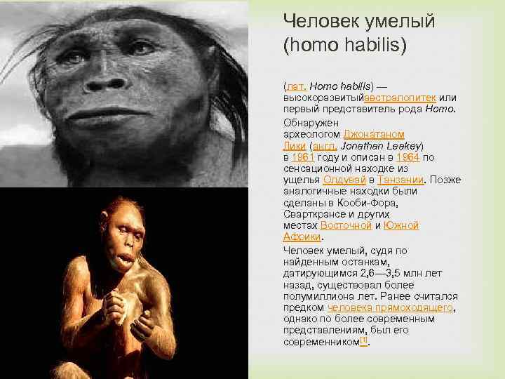 Представители рода homo