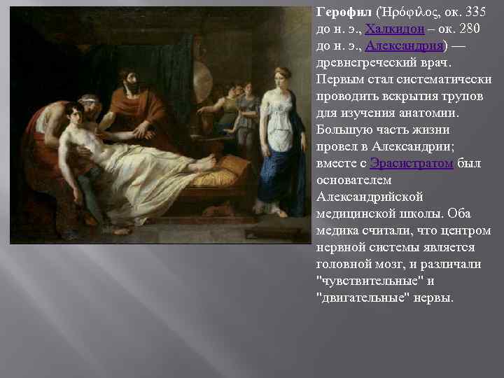 Герофил (Ἡρόφιλος, ок. 335 до н. э. , Халкидон – ок. 280 до н.